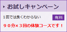 お試しキャンペーン