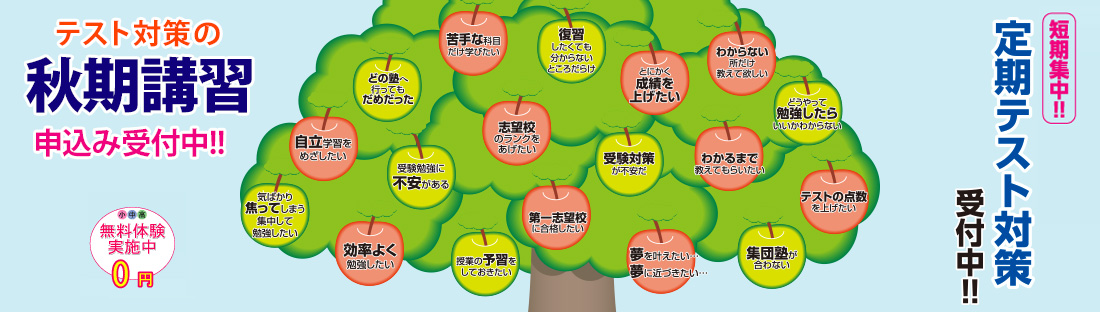 リンゴの木