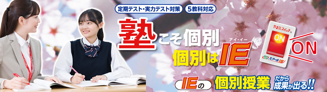 IEの個別授業だから成果が出る！