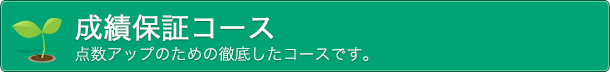 成績保証コース　点数アップのための徹底したコースです。