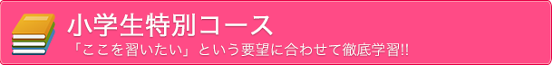 小学生特別コース　「ここを習いたい」という要望に合わせて徹底学習！！