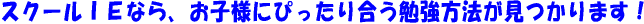 スクールIEなら、お子様にぴっったり合う勉強方法が見つかります！