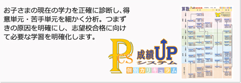 お子さまの現在の学力を正確に診断し、得意単元・苦手単元を細かく分析。つまずきの原因を明確にし、志望校合格に向けて必要な学習を明確化します。